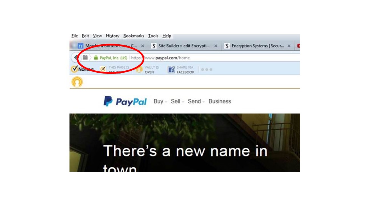 PayPal Green Verification Symbols